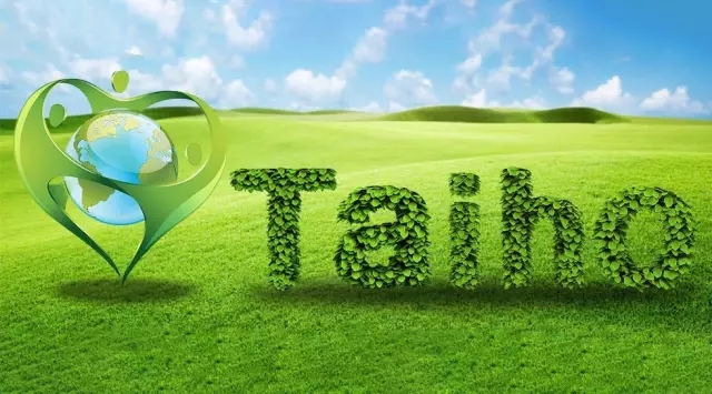 1593740812117141.jpg 640_wx_fmt=jpeg&tp=webp&wxfrom=5&wx_lazy=1&wx_co=1.webp.jpg