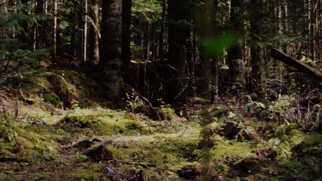 1610502517759252.png image.png